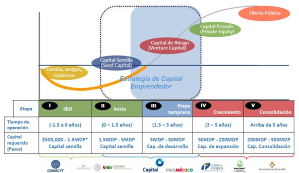 ROL DEL GOBIERNO DE MÉXICO EN LA INDUSTRIA DEL CAPITAL EMPRENDEDOR.