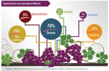 MÉXICO. SECTOR AYB. VINOS Y GOURMET DE TODO EL MUNDO DESDE Y HACIA MÉXICO.