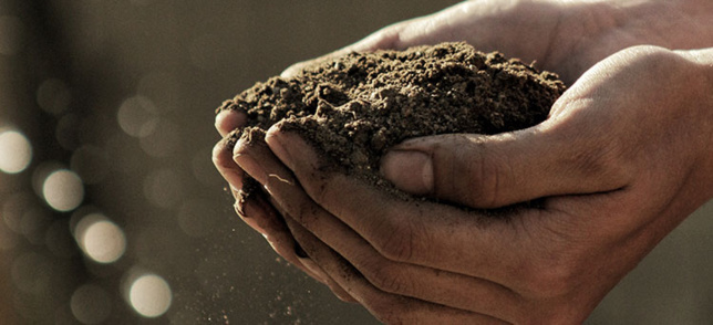 PROYECTOS AGRÍCOLAS Y EL CROWDFUNDING. PROYECTOS AGRÍCOLAS Y EL CROWDFUNDING.