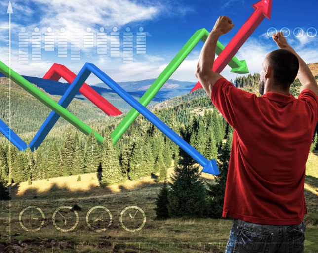 DEUDA O CAPITAL ACCIONARIO: ¿QUÉ TIPO DE RECURSOS REQUIERE UNA PYME? DEUDA O CAPITAL ACCIONARIO: ¿QUÉ TIPO DE RECURSOS REQUIERE UNA PYME?