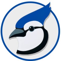 Gaio Gaio turns Instagram followers into customers Gaio Gaio turns Instagram followers into customers