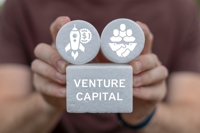 Estructura de un fondo de venture capital con inversores LP y gestores GP Estructura de un fondo de venture capital con inversores LP y gestores GP