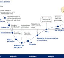 EL PROCESO DE DUE DILIGENCE (I)