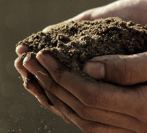 PROYECTOS AGRÍCOLAS Y EL CROWDFUNDING. PROYECTOS AGRÍCOLAS Y EL CROWDFUNDING.