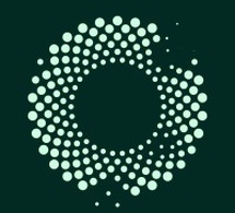 Mombak: Reforestación a escala industrial para regenerar la Amazonía brasileña Mombak: Reforestación a escala industrial para regenerar la Amazonía brasileña