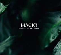 Magio: el chocolate amazónico que conquista el mundo con tecnología, propósito y 1.6 millones de dólares en inversión Magio: el chocolate amazónico que conquista el mundo con tecnología, propósito y 1.6 millones de dólares en inversión